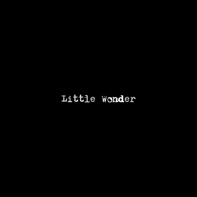 Little Wonder kategoria